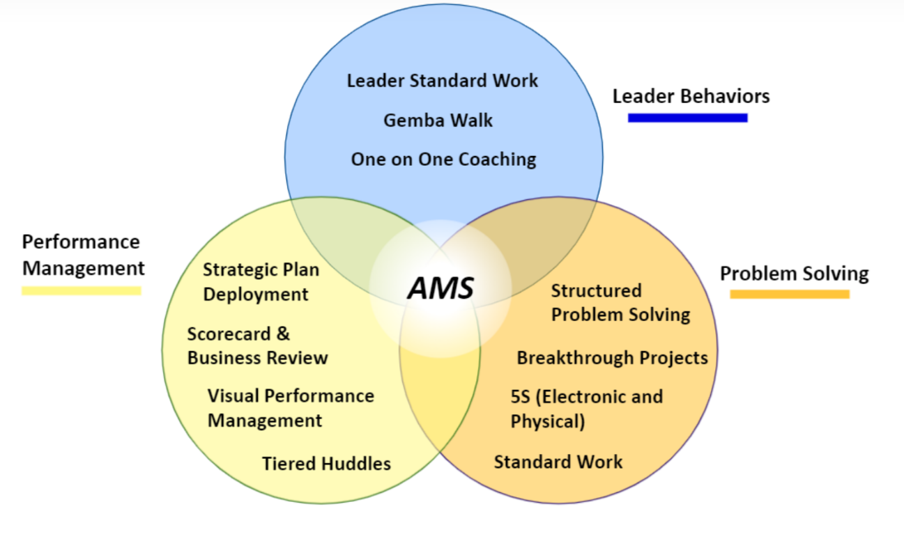 AMS Elements Venn diagram