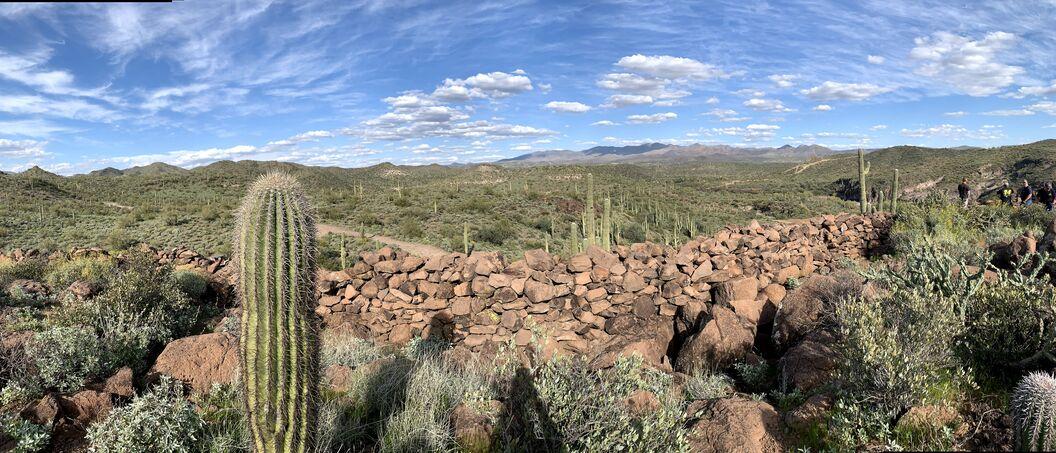 Scottsdale desert landscape, saguaros and rocks