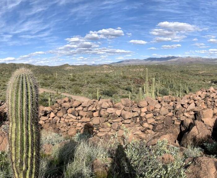 Scottsdale desert landscape, saguaros and rocks