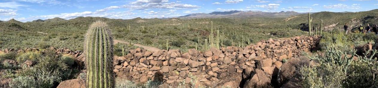 Scottsdale desert landscape, saguaros and rocks