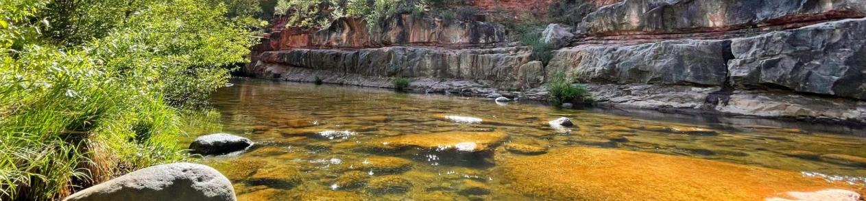 Oak Creek picture with clear water, trees, brush and rock formations